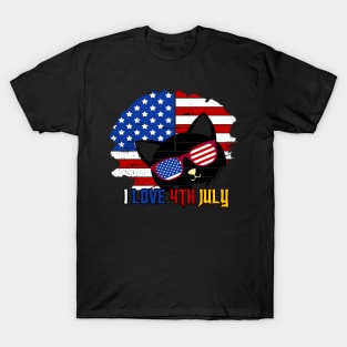 America Shirt 4th of July Patriotic T-shirt holiday T-Shirt